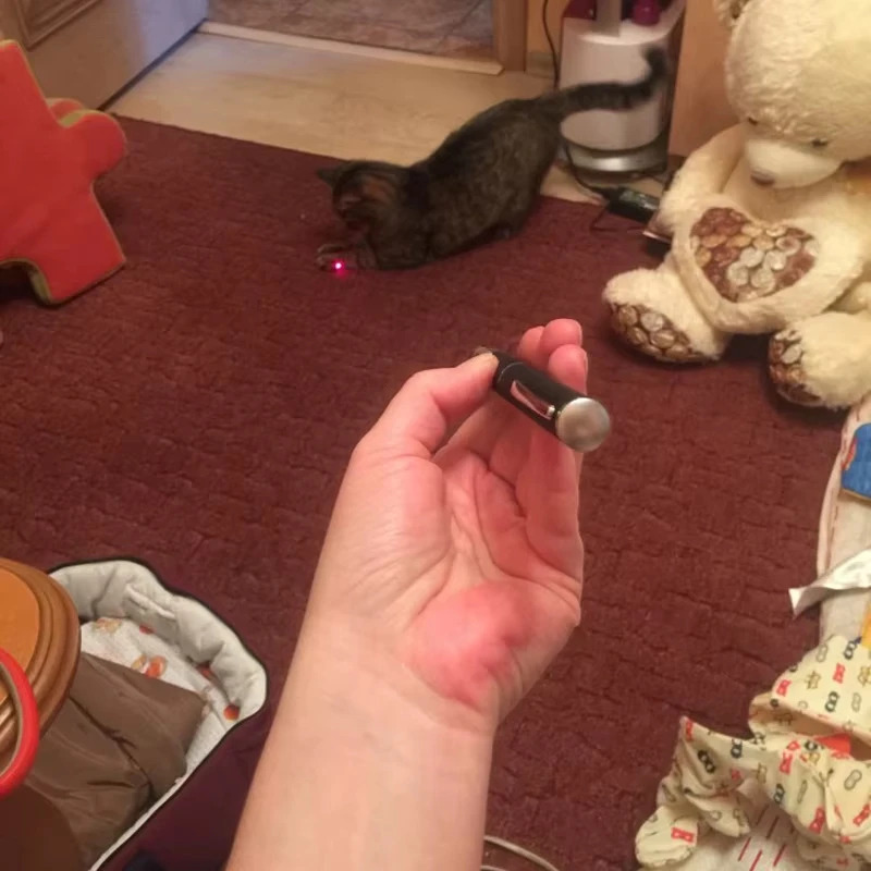 2-in-1 Mini Laser Pointer LED  - Industrial Laser Pointer recension och pris