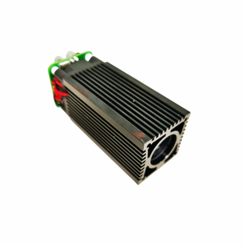 520nm 300mw/800mw/1000mw Green - Industrial Laser Pointer recension och pris